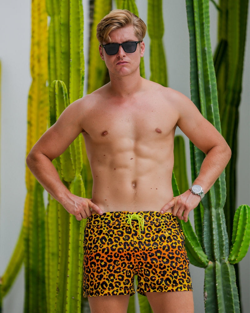 Leopard Print Gold Swim Shorts - 3" Shorts / Board shorts Tucann 
