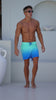 Mens blue swim shorts boardshorts