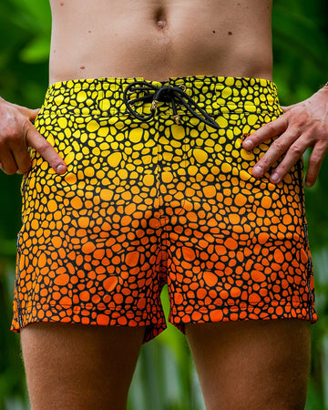 Stingray Sunset 3" Shorts / Board shorts Tucann 