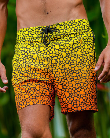 Stingray Sunset - 5" Shorts / Board shorts Tucann 